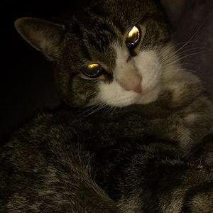 Meet your Posher, Gabriella